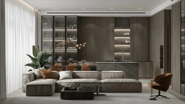 Superbly Designed Space(DRSSJY0091RT)-Living room