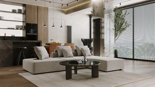 Simple and Functional(DRSSJY0034RT)-Living room