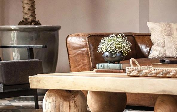 Small potted plant on a wooden coffee table in a tiny apartment living room.