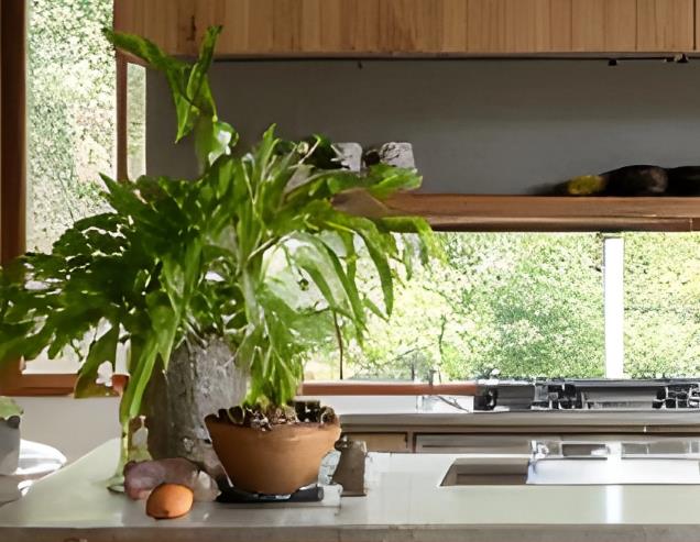 Tiny kitchen design with two green potted plants on a narrow countertop beside a large window.