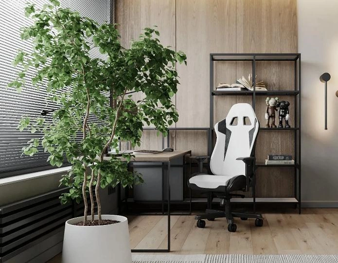 Large indoor potted plants