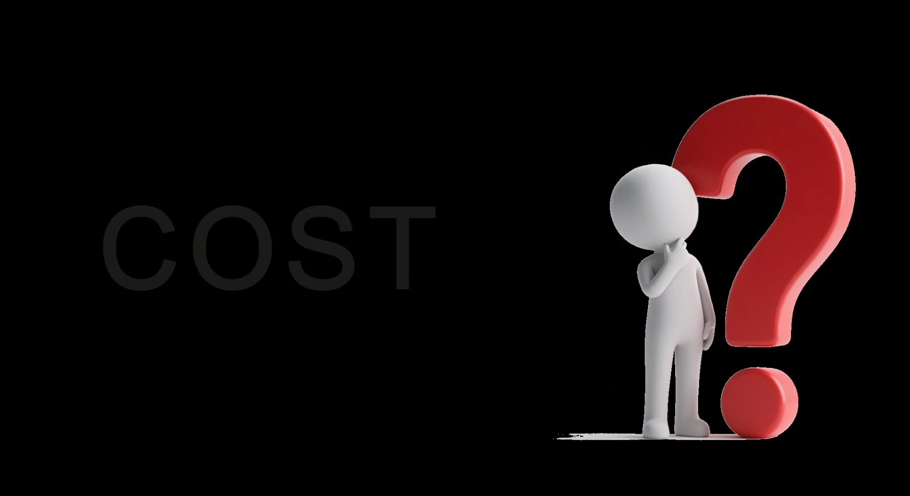 How to understand the project cost