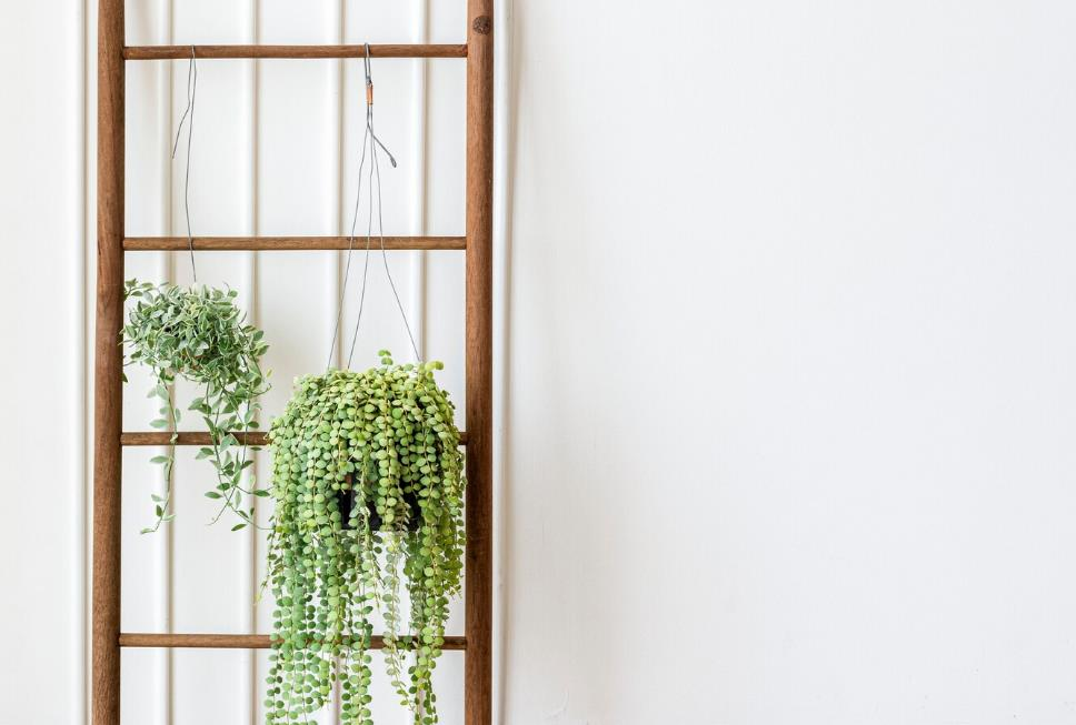 15 Elegant And Modern Dining Room Wall Decor Ideas content 13