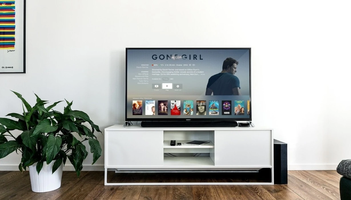 12 Latest TV Cabinet Interior Design Ideas content 4