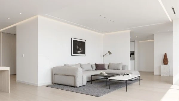 Minimal Elegant Living Room